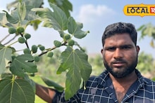 Agriculture Success: मराठवाड्यातील शेतकऱ्याची कमाल, खडकाळ माळावर पिकवल ‘सोनं’, 30 गुंठ्यात कमाई लाखात