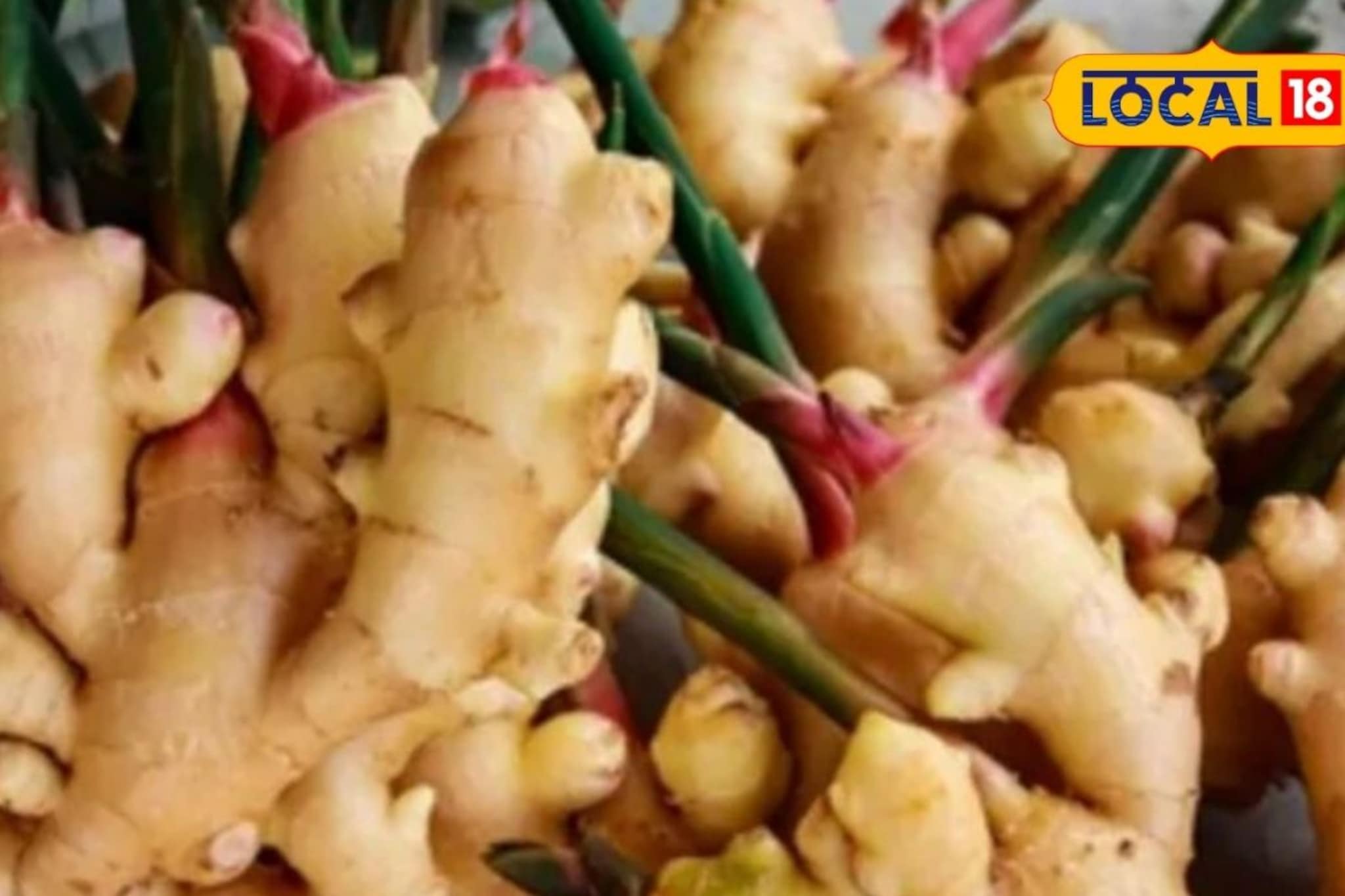 आल्याला 6500 रुपये भाव, डाळिंबचे दरही तेजीत, द्राक्षाला काय मिळाला भाव? इथं पाहा