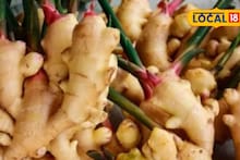 APMC Market : आल्याला 6500 रुपये भाव, डाळिंबचे दरही तेजीत, द्राक्षाला काय मिळाला भाव? इथं पाहा