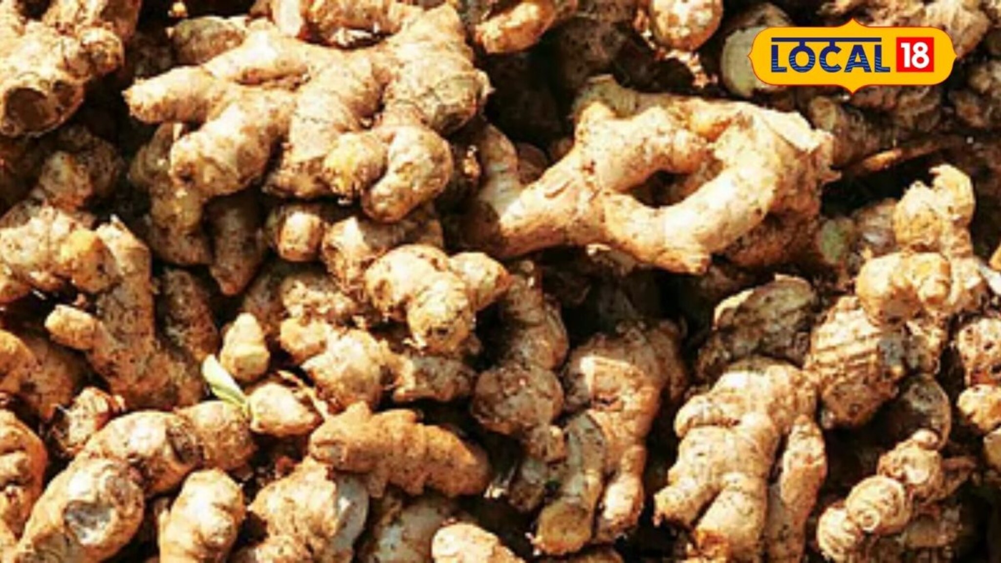 APMC Market: शेतकऱ्यांसाठी गुड न्यूज, आल्याचे भाव पुन्हा तेजीत, डाळिंबाला आज काय मिळाला दर?