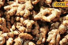 APMC Market: शेतकऱ्यांसाठी गुड न्यूज, आल्याचे भाव पुन्हा तेजीत, डाळिंबाला आज काय मिळाला दर?