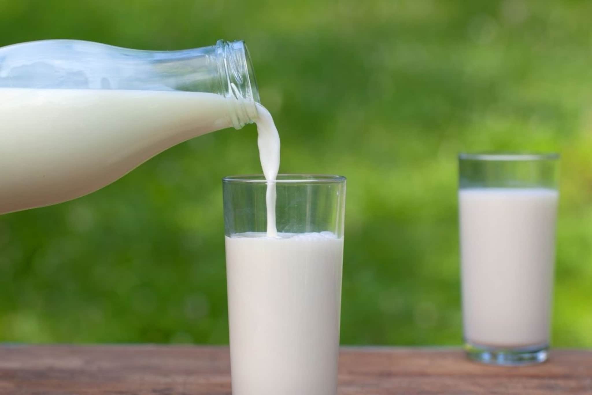 तुम्ही पित असलेलं दूध सुरक्षित आहे का? अमूलसह पॅकेट दुधाबाबत का वाढली चर्चा