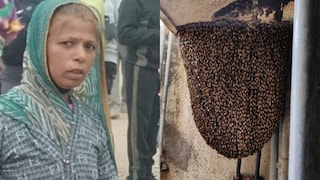 20 लेकरांसाठी कांचनबाई मधमाशांशी एकट्या लढल्या, शेवटचा मुलगा वाचला अन्... अंगणवाडी सेविकेने प्राण सोडला!