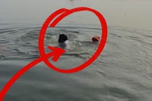 ‘दादा…’ म्हणत ढसाढसा रडला माजी आमदार, अस्थी विसर्जनावेळी थेट मारली नदीत उडी; उपस्थितांच्या काळजाचा ठोका चुकला