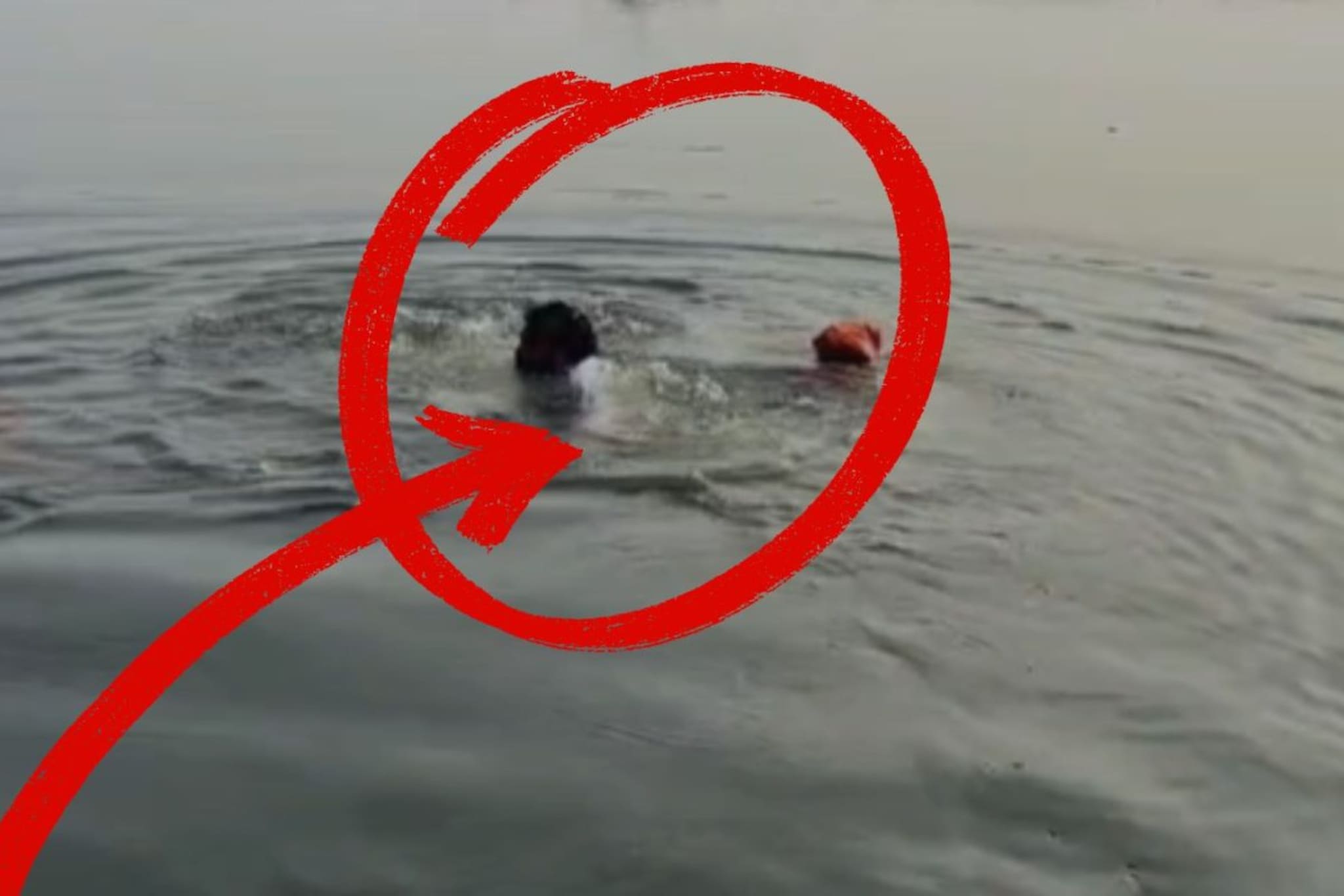 ‘दादा…’ म्हणत ढसाढसा रडला माजी आमदार, अस्थी विसर्जनावेळी थेट मारली नदीत उडी