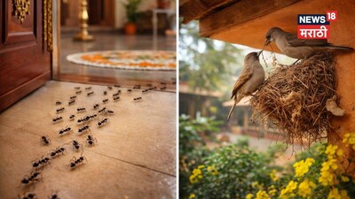 Signs of Wealth: Don't Ignore These 5 Auspicious Omens for Financial Gain!