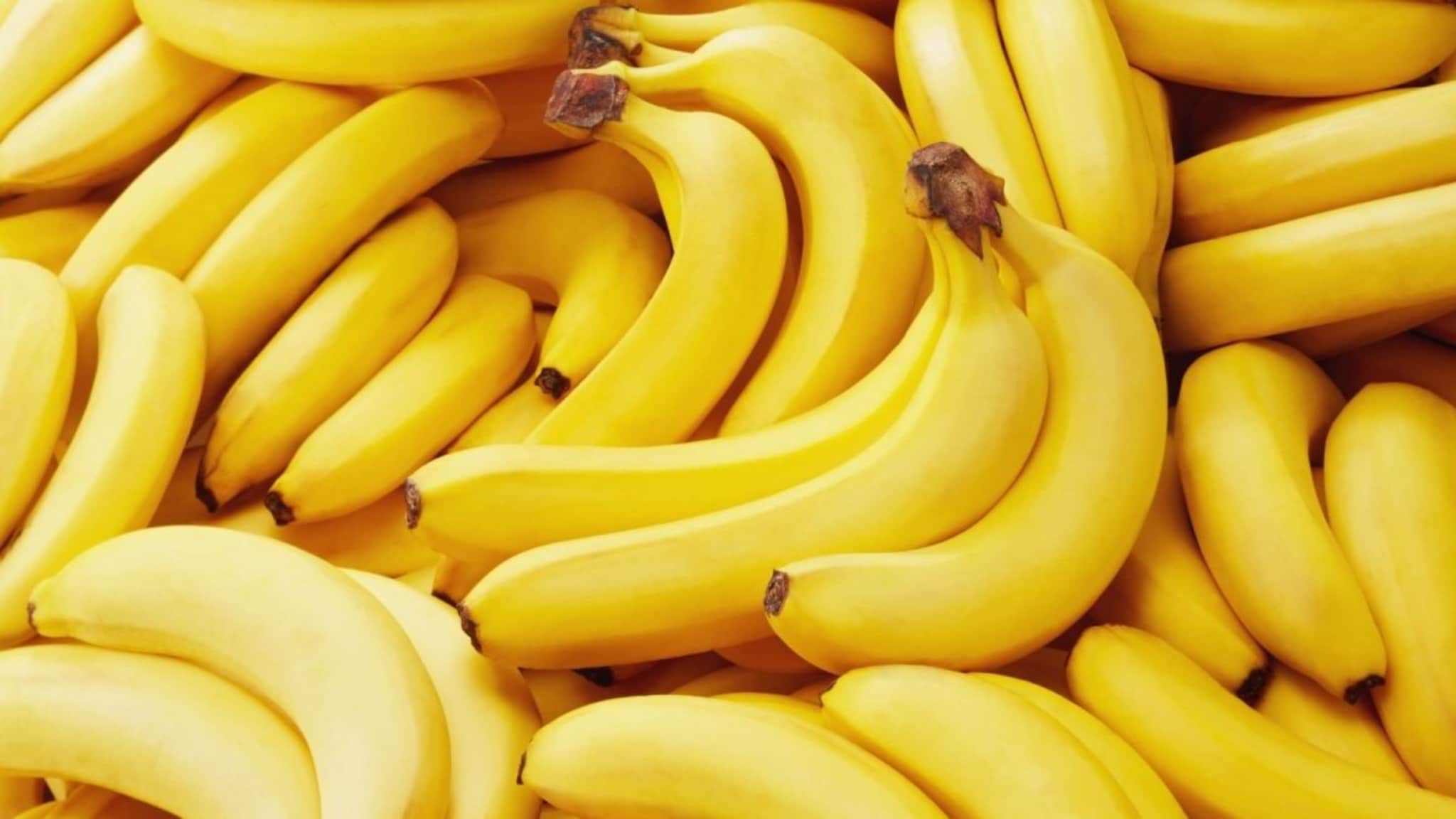 केळं खाण्याची योग्य पद्धत माहीत आहे का? चुकीच्या वेळी खाल्ल्यास होऊ शकतं नुकसान