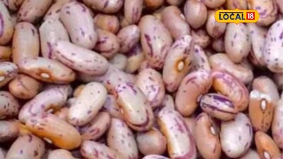 बीड़ में राजमा बीज धोखाधड़ी: व्यापारी से 13 लाख की ठगी, छह निदेशकों पर मामला दर्ज.