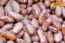 उच्च प्रतीचे राजमा बियाण्याने देण्याचं दाखवलं आमिष, व्यापाऱ्याची 13 लाखांची फसवणूक, बीडमध्ये खळबळ