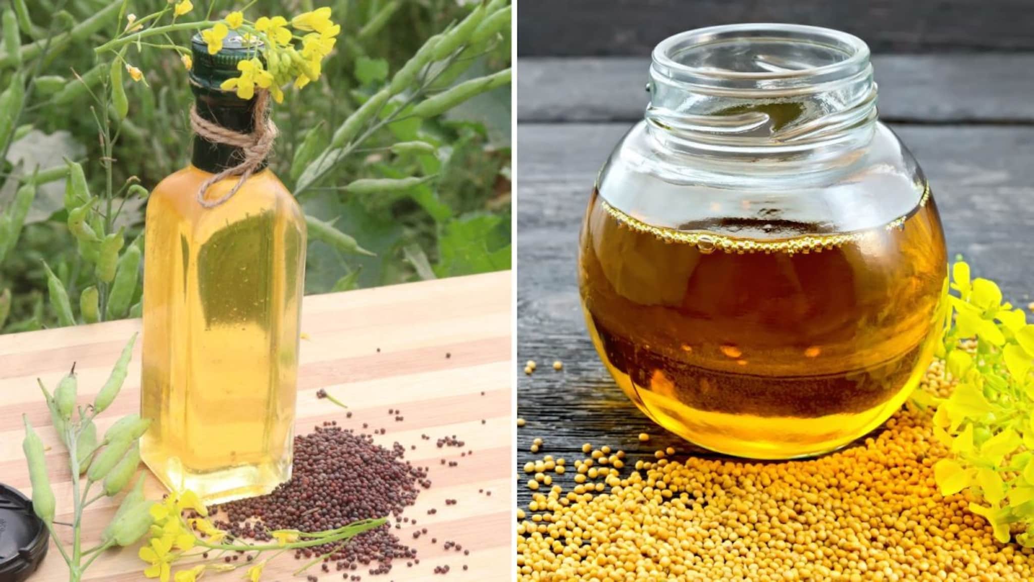 Back Vs Yellow Mustard Oil : काळ्या आणि पिवळ्या मोहरीच्या तेलामध्ये नेमका फरक काय? दोन्हींपैकी कोणते जास्त चवदार असते?