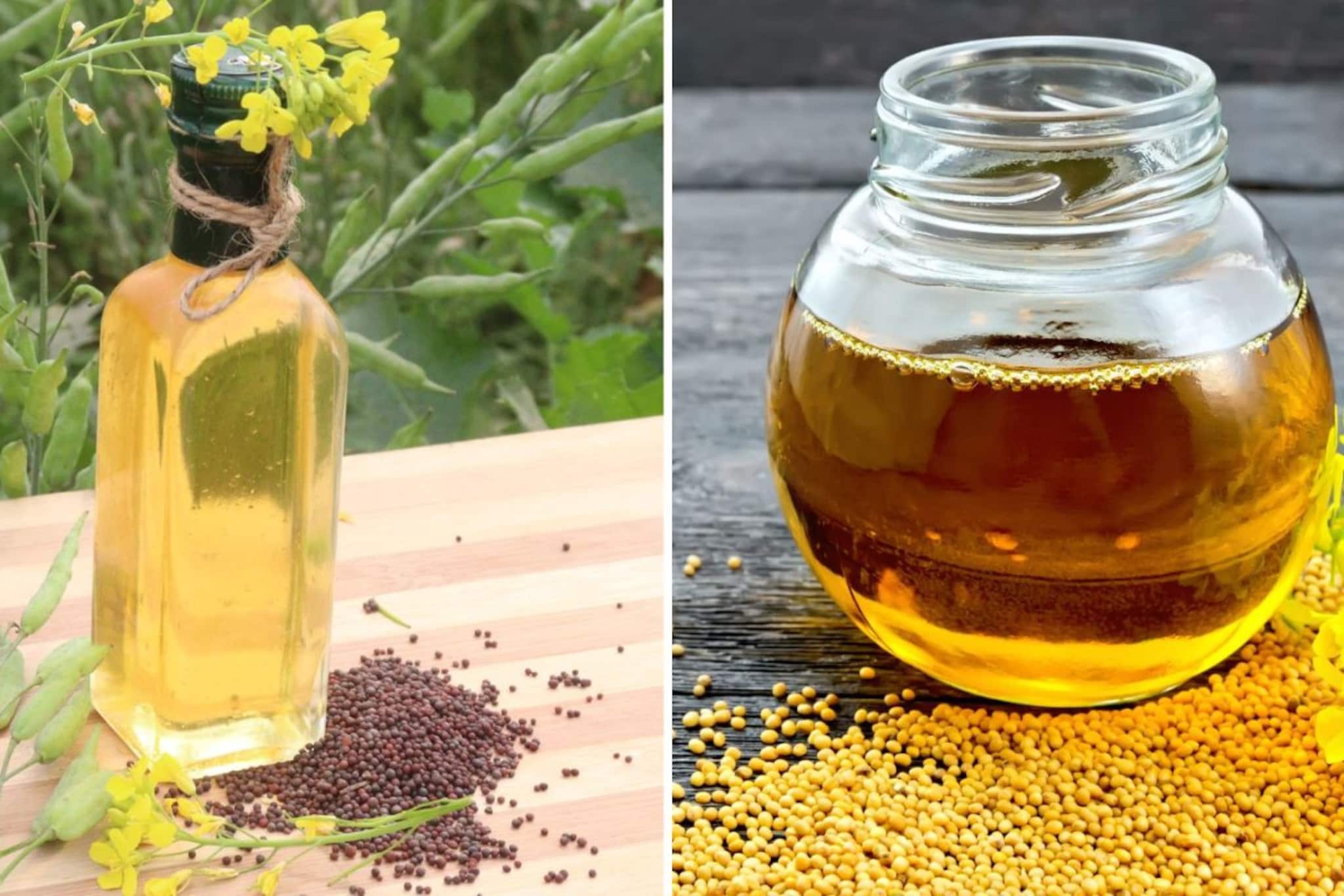 काळ्या-पिवळ्या मोहरीच्या तेलामध्ये फरक काय? दोन्हींपैकी कोणते जास्त चवदार असते?
