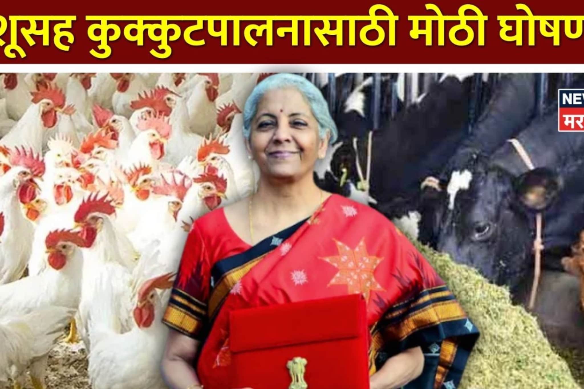 पशूसह कुक्कुटपालनासाठी मोठी घोषणा! शेतकऱ्यांना काय फायदा होणार?