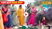 Solapur Video: लेकीसारखी हौस! हराळवाडीत गाईचं झालं डोहाळे जेवण