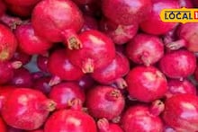 APMC Market : डाळिंबाच्या दरात उलथापालथ, आल्याला 9000 रुपये मिळाला भाव, द्राक्षाची काय स्थिती? Video