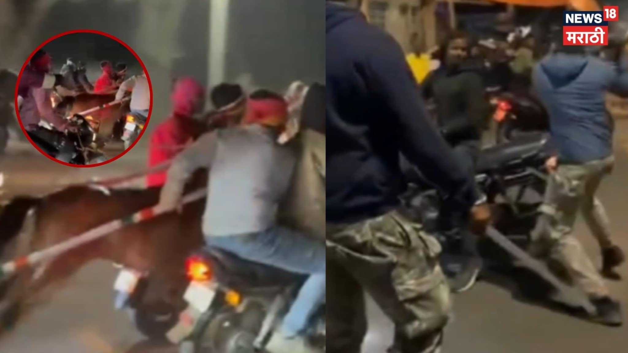 घोडागाडी शर्यतीदरम्यान तरुणांची हुल्लडबाजी, पोलिसांनी चोपलं, कर्नाटकचा Video