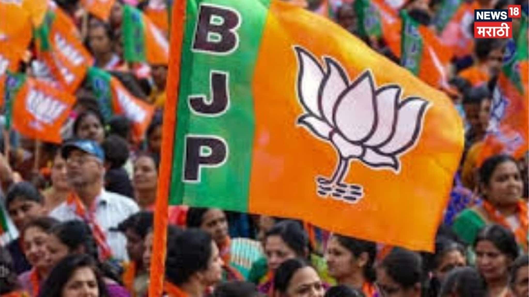 Special Report:  ZP निकालात भाजपचा डंका,  तुमच्या जिल्ह्याचा कारभारी कोण?