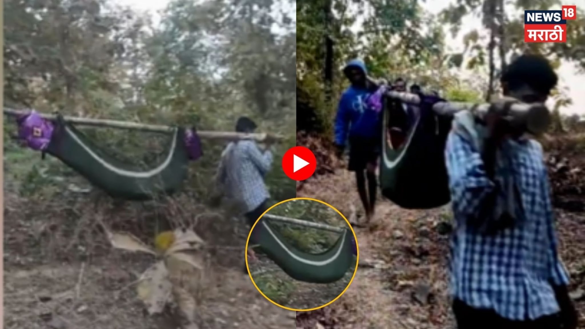 Video : गावात रुग्णवाहिकाच नाही, रुग्णाला डोलीतून नेण्याची आली वेळ आणि तरुणाचा मृत्यू