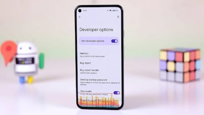 डेव्हलपर ऑप्शन 
