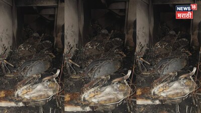 डोंबिवली में भीषण आग: 29 गाड़ियां जलकर खाक, 5 लोग घायल