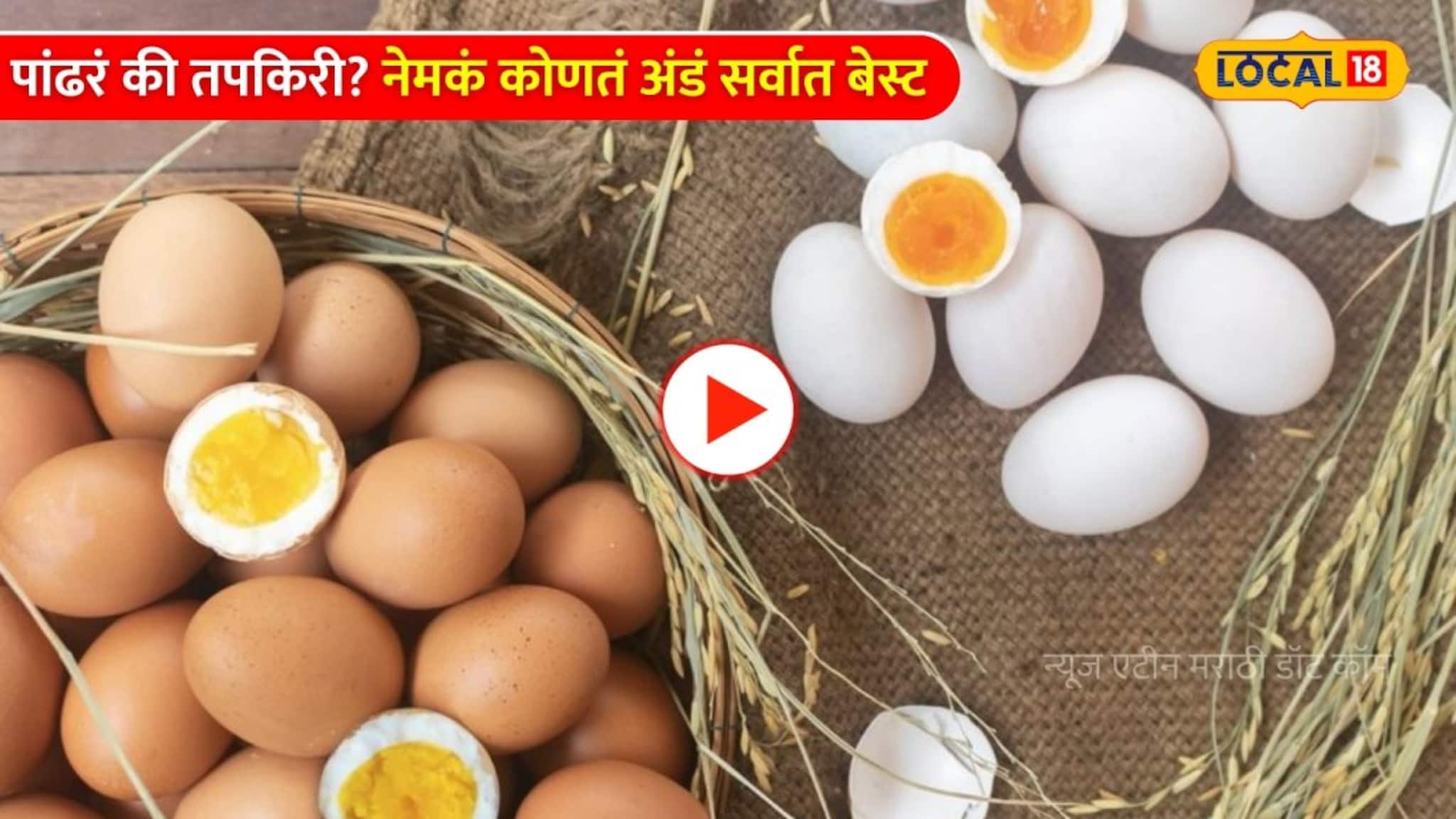 पांढरं की तपकिरी? नेमकं कोणतं अंडं सर्वात बेस्ट; तज्ज्ञांनी उघड केलं गुपित!
