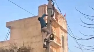 प्रतिकात्मक फोटो