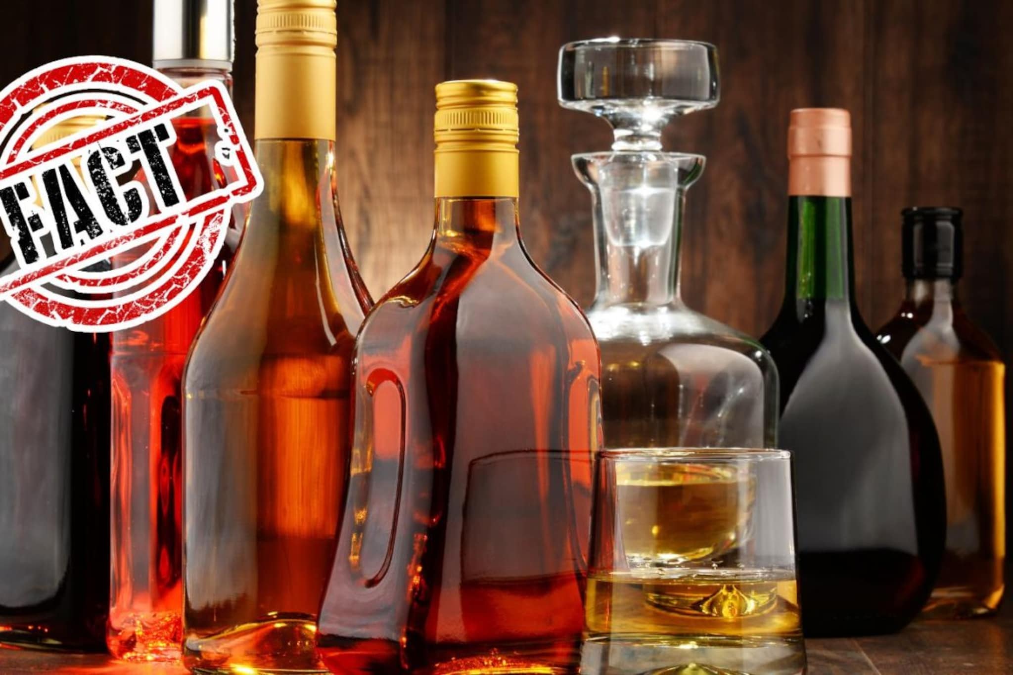 होळीच्या दिवशी ड्राय डे असणार आहे की नाही? अखेर राज्य सरकारचं स्पष्ट सांगितलं होळीच्या दिवशी ड्राय डे असणार आहे की नाही? अखेर राज्य सरकारचं स्पष्ट सांगितलं