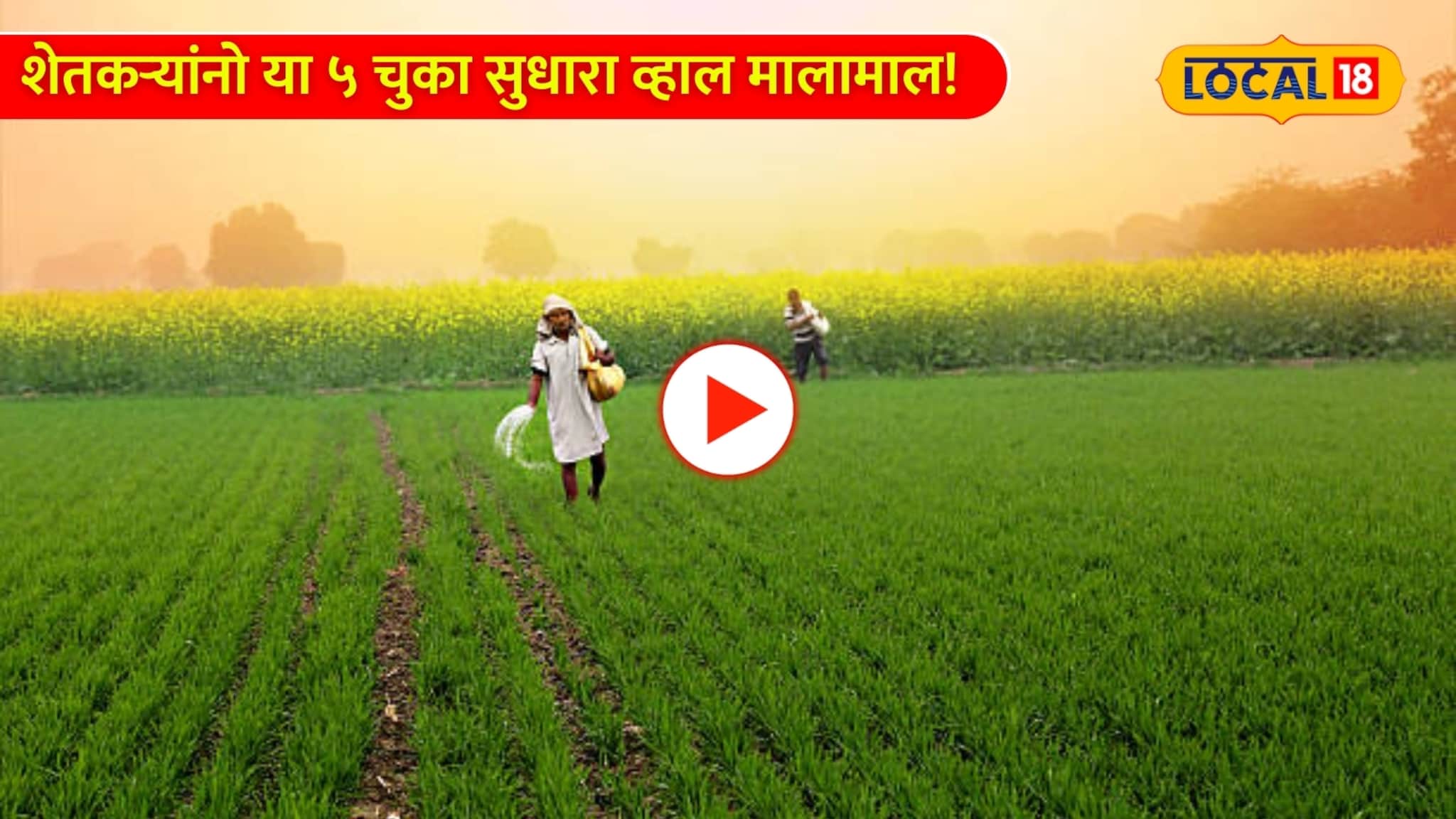 Video: शेतीत तोटा का होतोय? शेतकऱ्यांनो या ५ चुका सुधारा व्हाल मालामाल! Video: शेतीत तोटा का होतोय? शेतकऱ्यांनो या ५ चुका सुधारा व्हाल मालामाल!