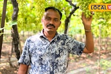 जालन्याच्या शेतकऱ्यानं घेतलं पैशाचं पीक! एका एकरात 10 लाखांची कमाई, काय केलं? Video