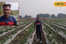 पुणे-मुंबईचा नाद सोडला अन् थेट गाव गाठलं, अर्ध्या एकरात लावलं हे पिक, 3 महिन्यात लखपती, Video