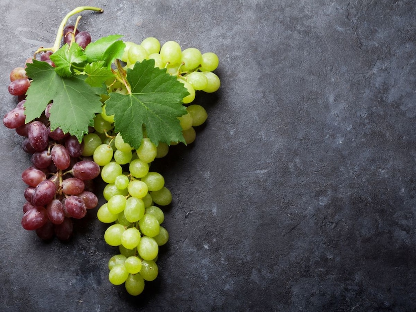 निरोगी आयुष्यासाठी फळे खाणे अत्यंत आवश्यक असते. फळांमधून आपल्याला नैसर्गिक साखर, फायबर्स आणि महत्त्वाची जीवनसत्त्वे मिळतात. मात्र, जेव्हा विषय मधुमेह किंवा डायबेटीजचा येतो, तेव्हा खाण्यापिण्यावर अनेक मर्यादा येतात. विशेषतः द्राक्षांसारखी गोड फळे रक्तातील साखरेची पातळी वाढवू शकतात, असा एक समज आहे. पण, मधुमेही रुग्णांसाठी द्राक्षे खरोखरच व्हिलन आहेत का? की ती मर्यादित प्रमाणात खाणे फायदेशीर ठरू शकते? चला, यामागचे सत्य समजून घेऊया. निरोगी आयुष्यासाठी फळे खाणे अत्यंत आवश्यक असते. फळांमधून आपल्याला नैसर्गिक साखर, फायबर्स आणि महत्त्वाची जीवनसत्त्वे मिळतात. मात्र, जेव्हा विषय मधुमेह किंवा डायबेटीजचा येतो, तेव्हा खाण्यापिण्यावर अनेक मर्यादा येतात. विशेषतः द्राक्षांसारखी गोड फळे रक्तातील साखरेची पातळी वाढवू शकतात, असा एक समज आहे. पण, मधुमेही रुग्णांसाठी द्राक्षे खरोखरच व्हिलन आहेत का? की ती मर्यादित प्रमाणात खाणे फायदेशीर ठरू शकते? चला, यामागचे सत्य समजून घेऊया.