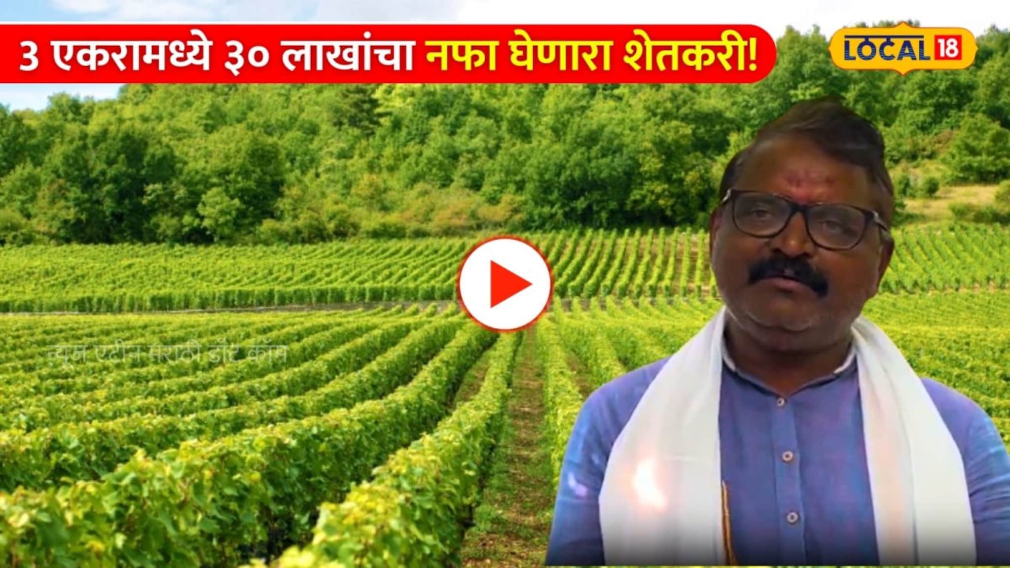 Success Story: २ वर्ष अफाट मेहनत, शेवटी यशाने पिंगा घातलाच, 3 एकरामध्ये ३० लाखांचा नफा घेणारा शेतकरी!