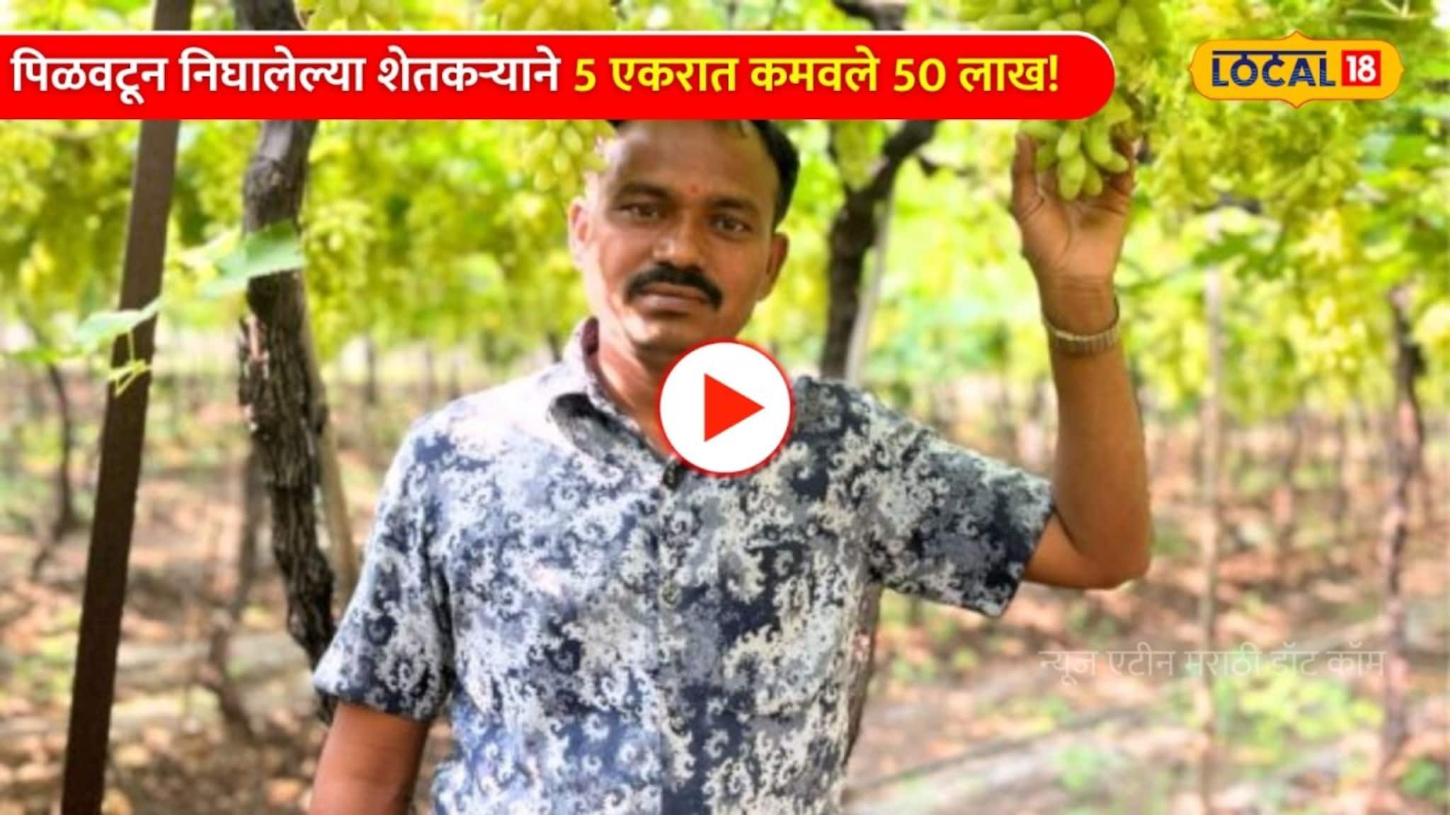 Video: कोरोना, नोटबंदी, निसर्गाचा त्रास... पिळवटून निघालेल्या शेतकऱ्याने 5 एकरात कमवले 50 लाख!  