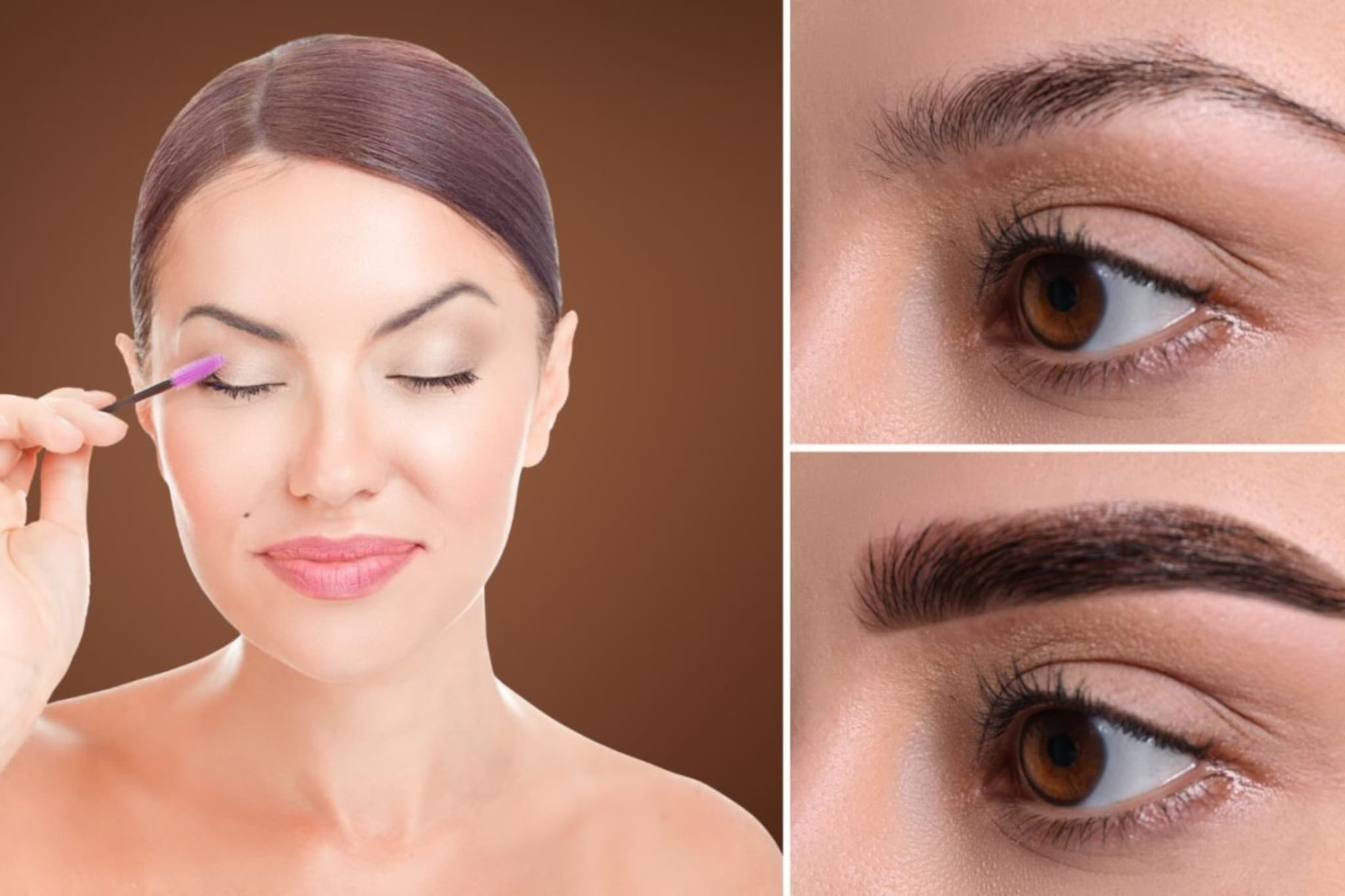 एक महिना 'हे' खास तेल वापरा, भुवया-पापण्या होतील जाड! थांबलेली वाढ पुन्हा होईल..