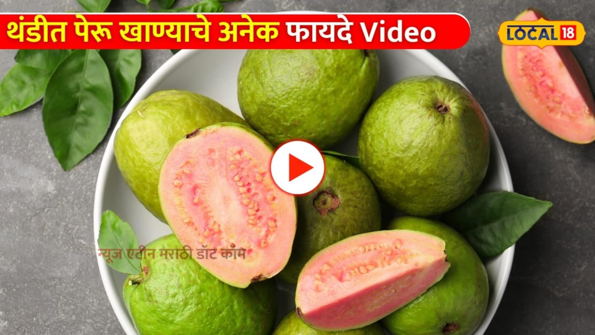 'रोज खा फक्त 'एक' पेरू...' थंडीत पेरू खाण्याचे अनेक फायदे Video