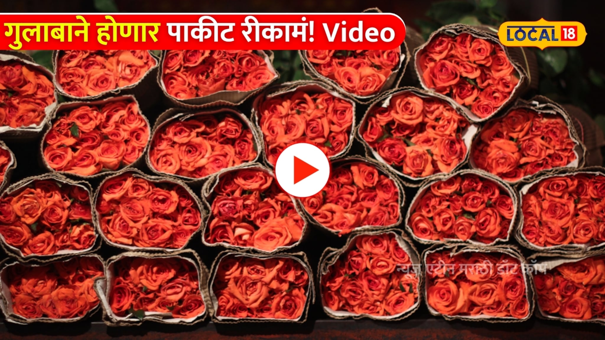 Valentine Day Video: प्रेमाचा दिवस पण खिशाला कात्री;गुलाबाने होणार पाकीट रीकामं!