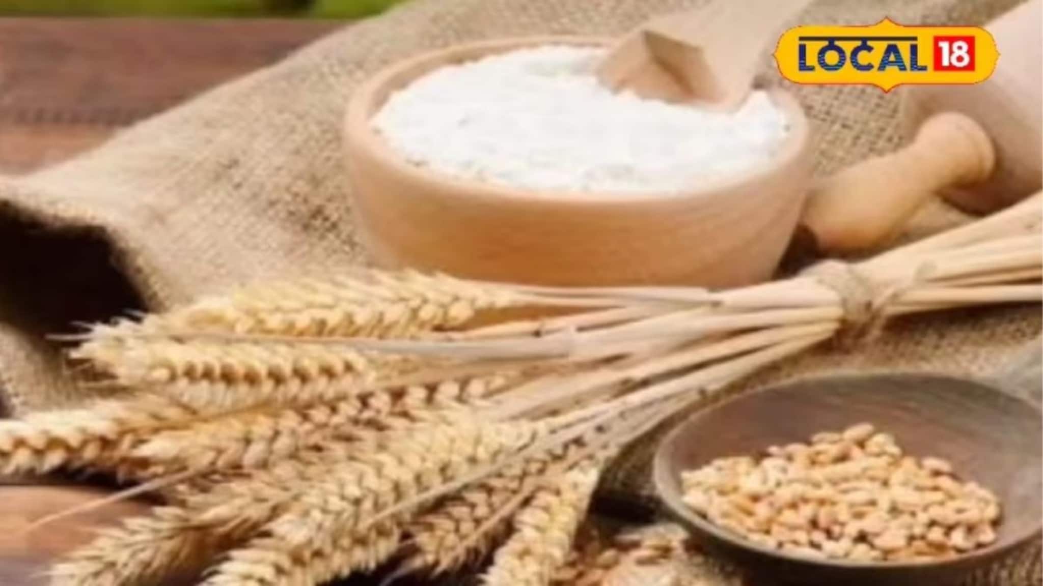 Health Tips: साधा की खपली गहू, आरोग्यासाठी काय चांगलं? मधुमेह असणाऱ्यांनी काय खावं?