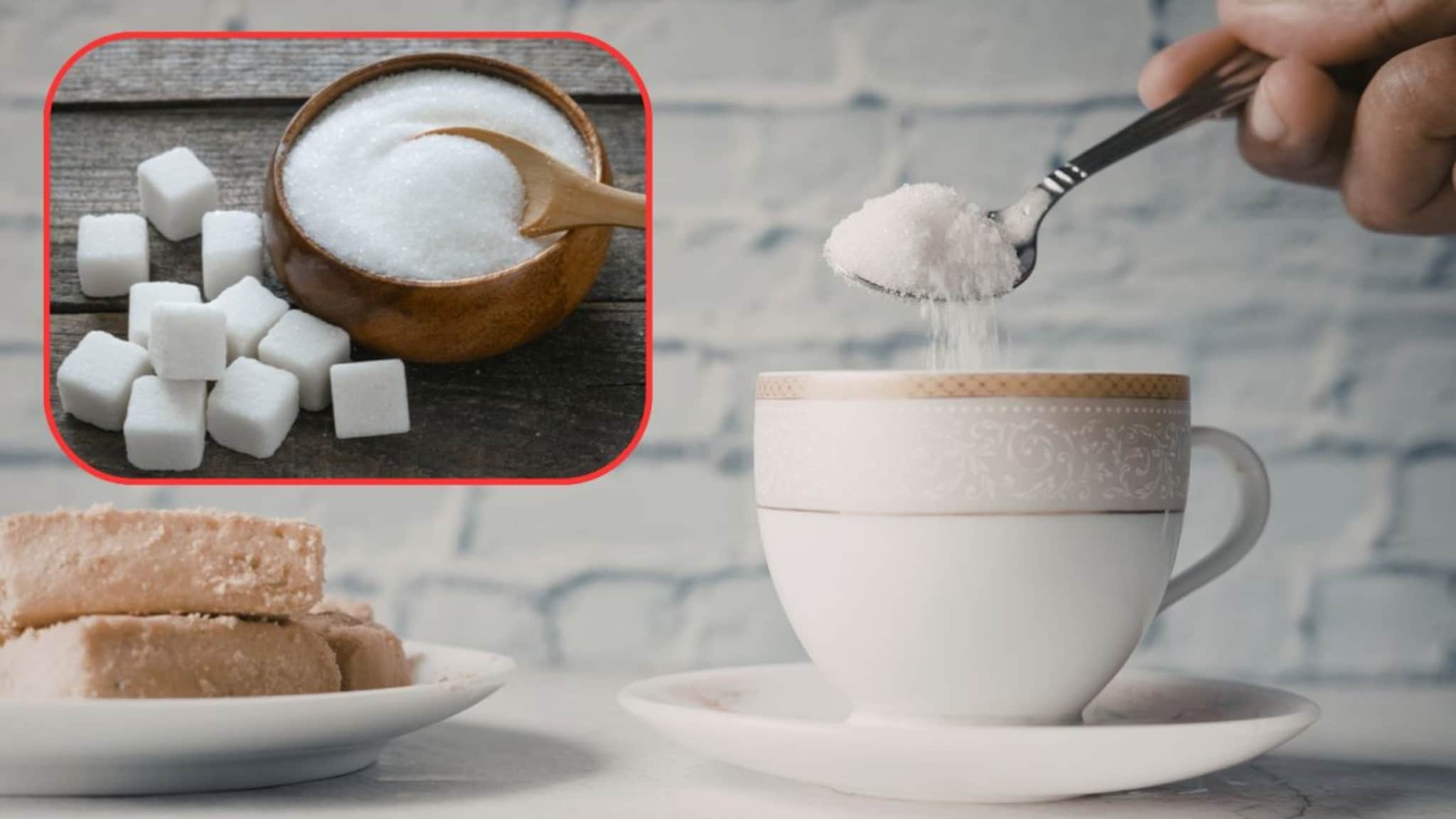 Sugar Alternative : साखरेला पर्याय काय? फक्त स्टीव्हिया किंवा ब्राऊन शुगर नाही, हे पदार्थही देतात तितकाच गोडवा