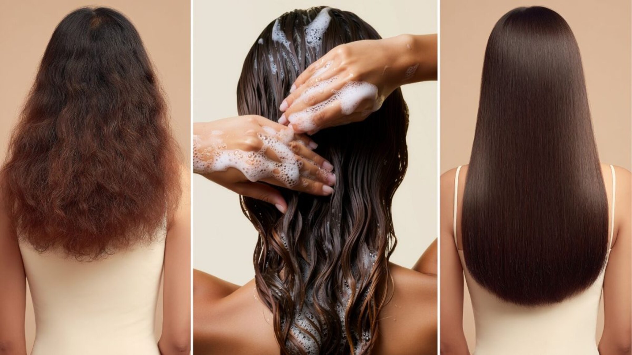 Homemade Conditioner : केस आधीच रुक्ष आहेत, केमिकल्स वापरण्याची इच्छा नाही? घरीच बनवा 'हे' हर्बल हेअर कंडीशनर!