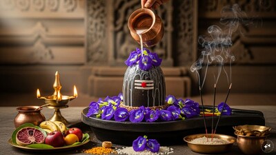 महाशिवरात्रि 2026: नौकरी, पैसा, शादी की चिंता? अपराजिता फूल के उपाय दिलाएंगे राहत.