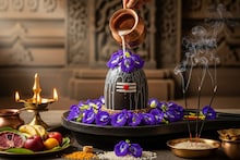 MahaShivratri 2026: नोकरी, पैशांची चिंता, लग्न होण्यास उशीर..! कित्येक अडचणींवर महाशिवरात्रीला करण्याचा खास उपाय