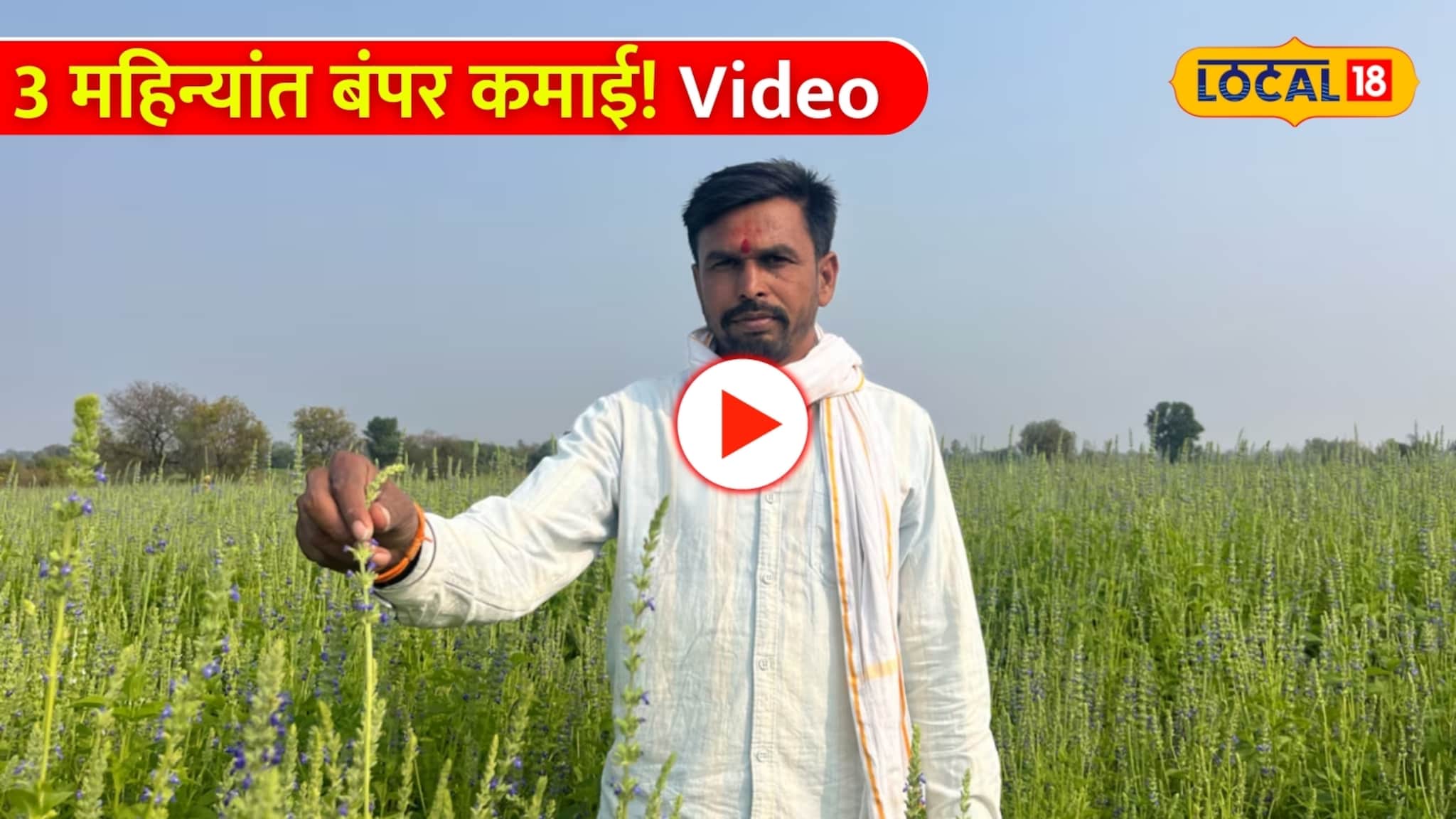 3 महिन्यांत बंपर कमाई! जालन्यातील शेतकऱ्याचा 'चिया सीड' शेतीचा भन्नाट प्रयोग! Video