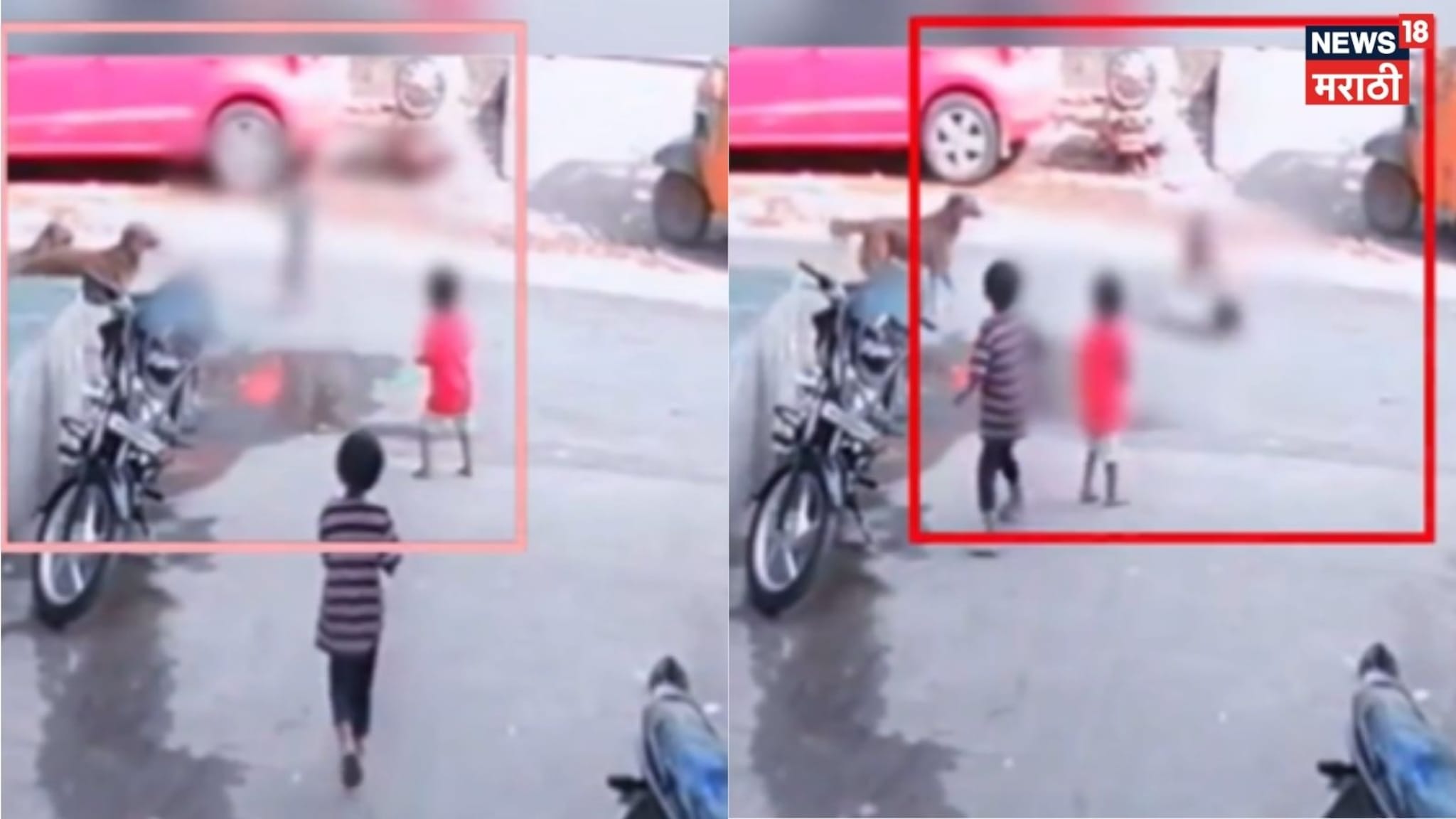 Video: संभाजीनगरमध्ये मोकाट कुत्र्यांचा लहान मुलावर हल्ला