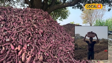 महाराष्ट्रातलं