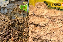 2 ट्रॅक्टर उंबराची भाजी, 50 क्विंटल गव्हाच्या चपात्या, जालन्यात 102 वर्षांची महाप्रसादाची अनोखी परंपरा