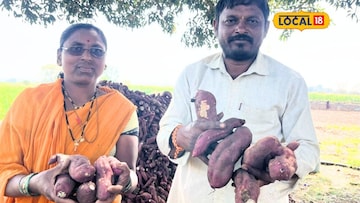 महाराष्ट्रातलं