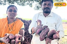 महाराष्ट्रातलं रताळ्यांचं गाव! महाशिवरात्रीला लाखात कमाई, शेतकऱ्यानं सांगितलं फायद्याचं गणित, Video