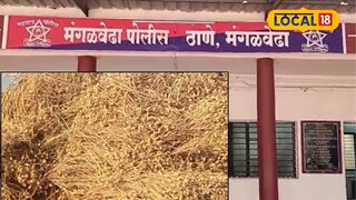Solapur News: महिन्यांची मेहनत; दिवसभर काढला 3 एकरातला हरभरा, सकाळी शेतात जाऊन बघताच बसला धक्का