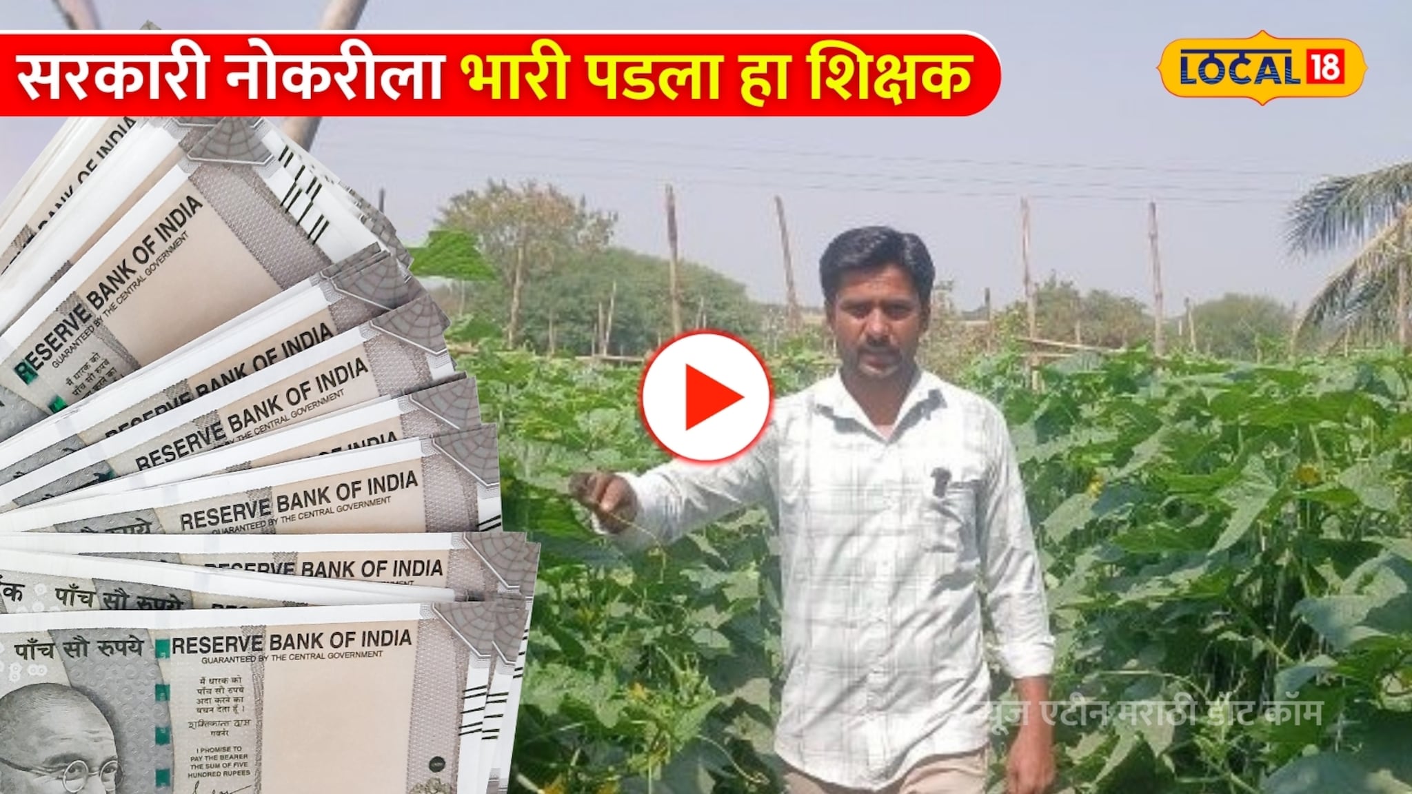 Video: 2 महिने 5 दिवसात 3 लाख रुपयांची बंपर कमाई! सरकारी नोकरीला भारी पडला हा शिक्षक Video: 2 महिने 5 दिवसात 3 लाख रुपयांची बंपर कमाई! सरकारी नोकरीला भारी पडला हा शिक्षक