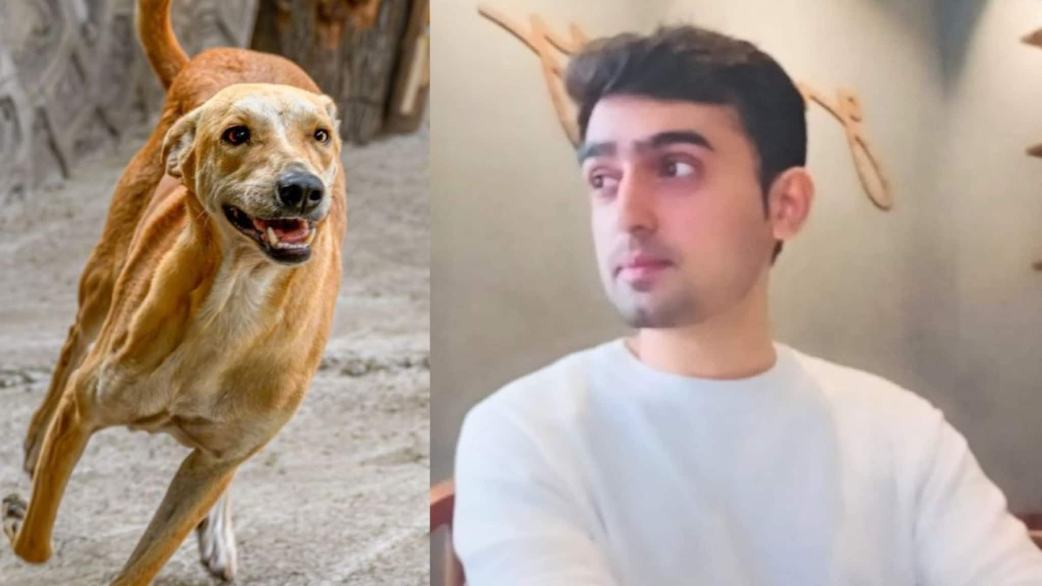 पाणी पाहून भीती वाटायची, घरात विचित्र वागायला लागला; 30 वर्षांच्या आयशने संपवलं जीवन, भटक्या कुत्र्यानं घेतला जीव