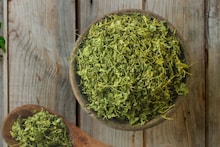 Kasuri Methi : कसूरी मेथी कशी बनवायची? ही सोपी पद्धत माहित असेल तर वाचतील पैसे आणि मिळेल ऑर्गॅेनिक चव